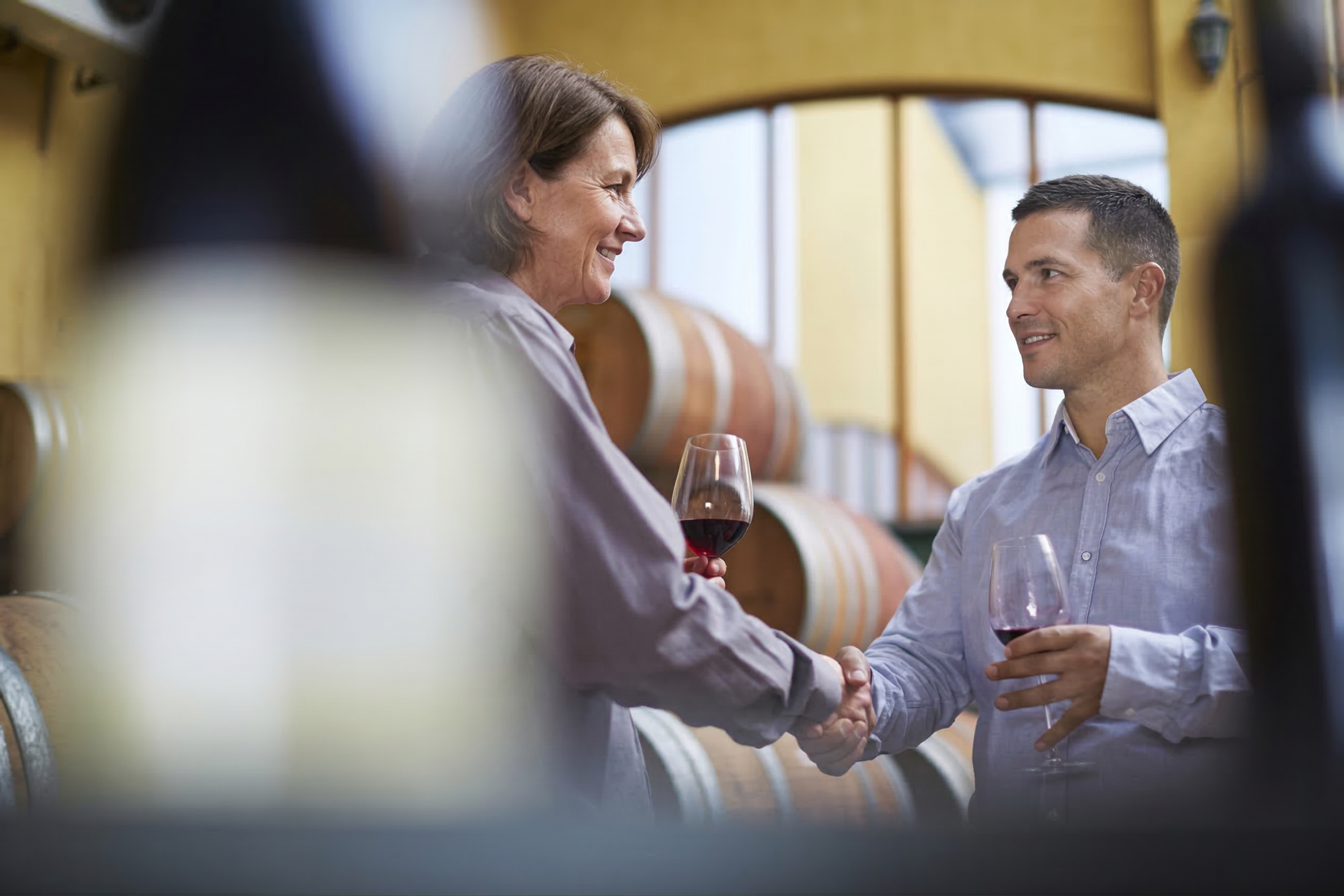 Bodegas Amigas — Grupo Maguila